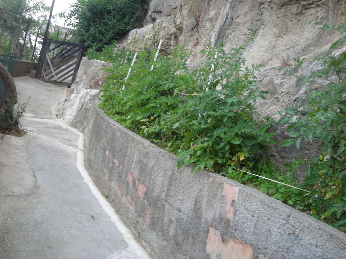 B&B L'Arcobaleno Sorrento Luaran gambar