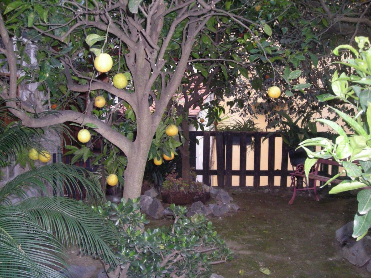 B&B L'Arcobaleno Sorrento Luaran gambar