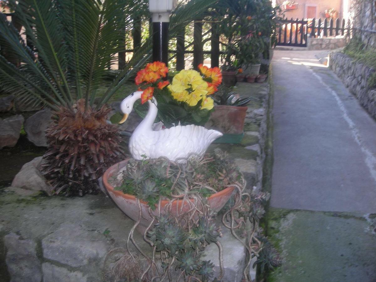 B&B L'Arcobaleno Sorrento Luaran gambar