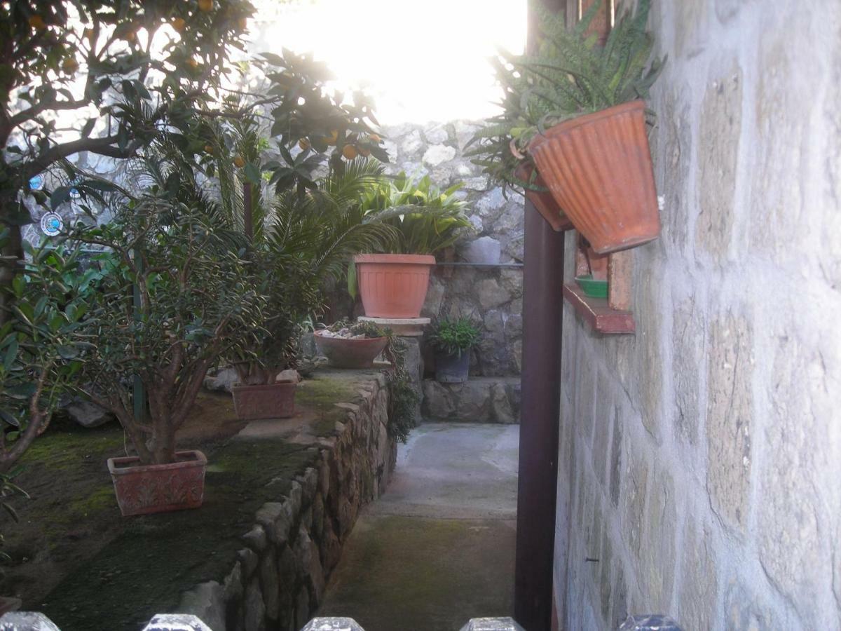 B&B L'Arcobaleno Sorrento Luaran gambar