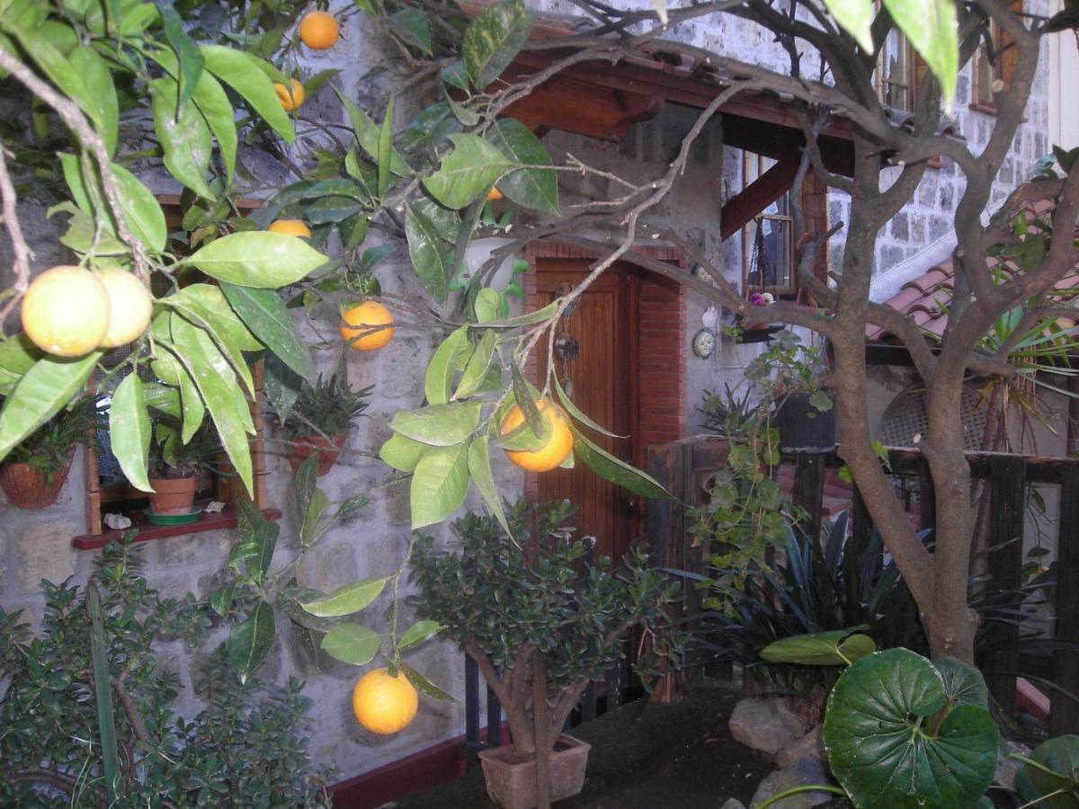 B&B L'Arcobaleno Sorrento Luaran gambar