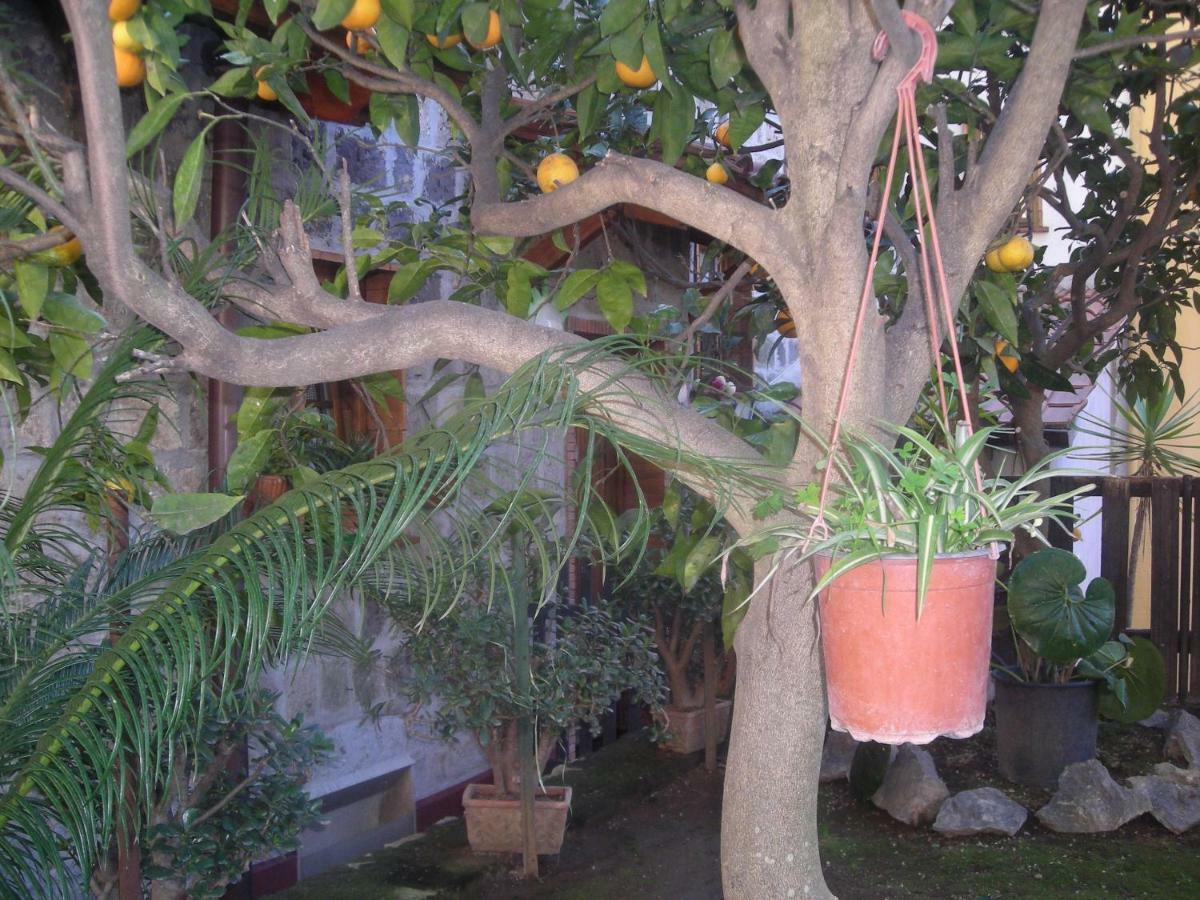 B&B L'Arcobaleno Sorrento Luaran gambar