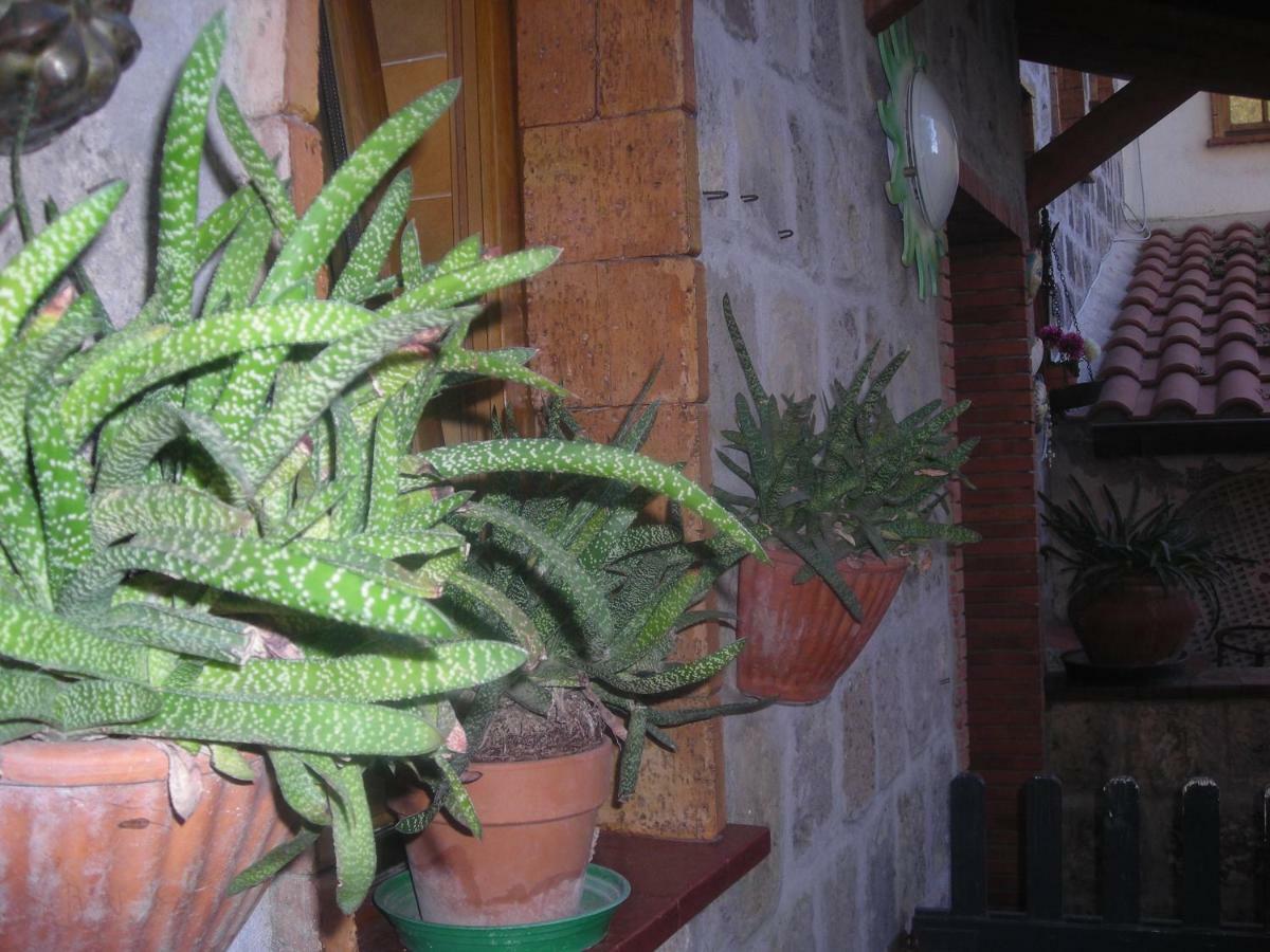 B&B L'Arcobaleno Sorrento Luaran gambar