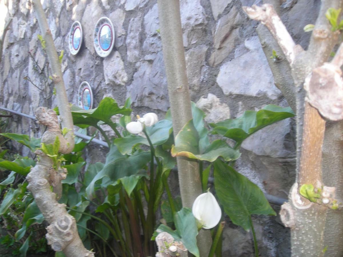 B&B L'Arcobaleno Sorrento Luaran gambar