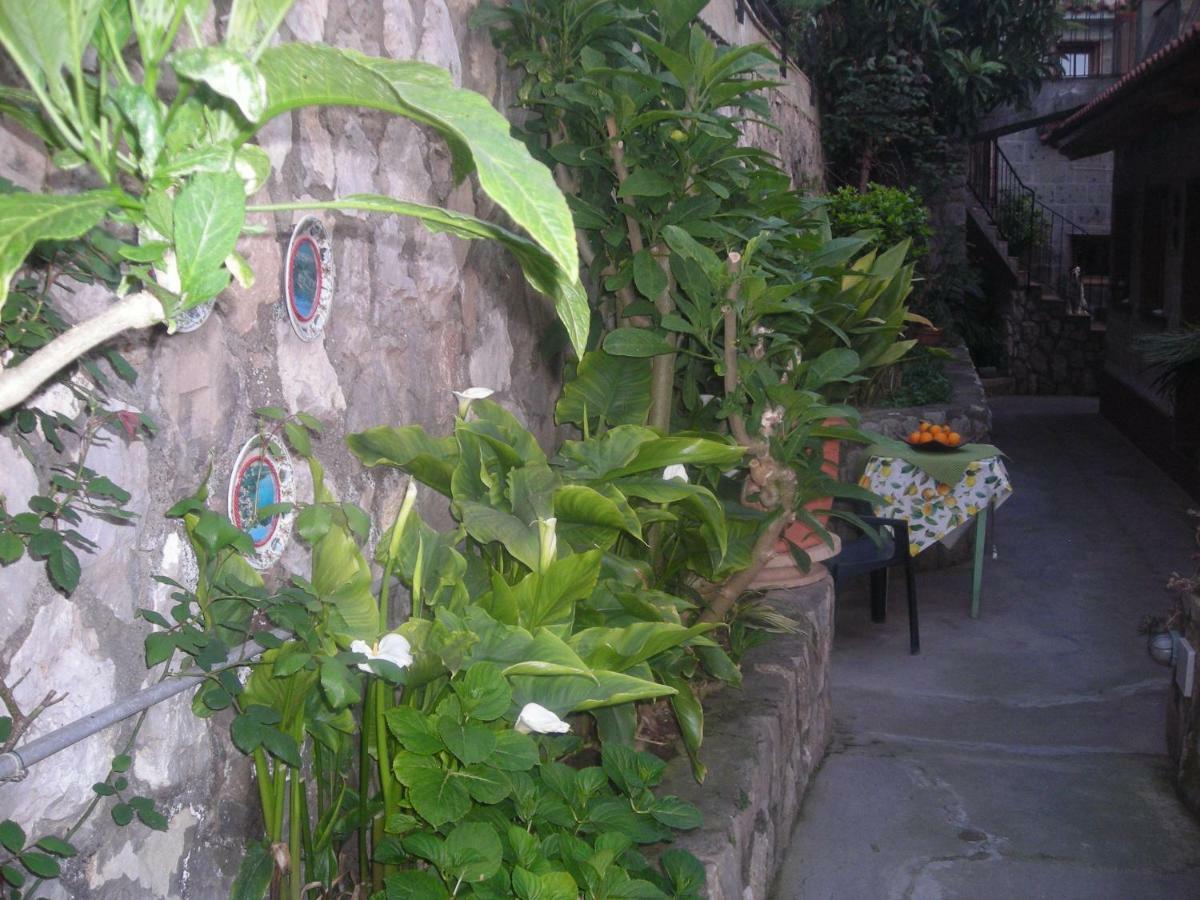 B&B L'Arcobaleno Sorrento Luaran gambar