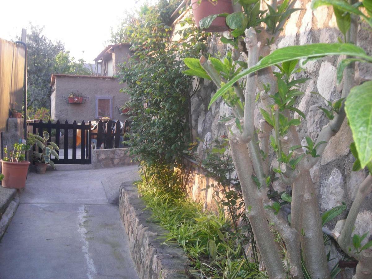 B&B L'Arcobaleno Sorrento Luaran gambar