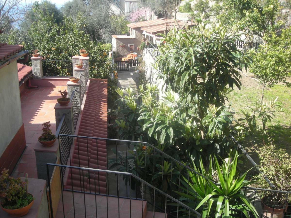 B&B L'Arcobaleno Sorrento Luaran gambar