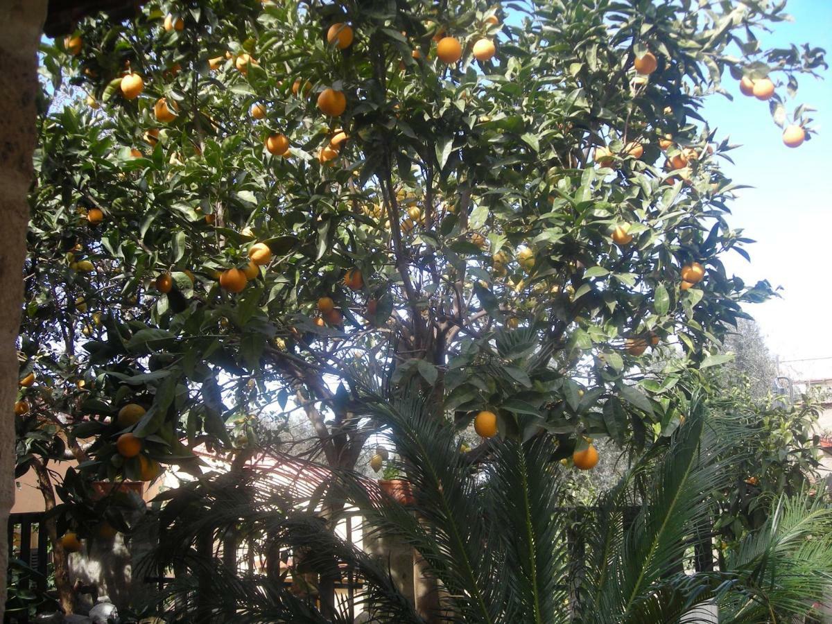 B&B L'Arcobaleno Sorrento Luaran gambar